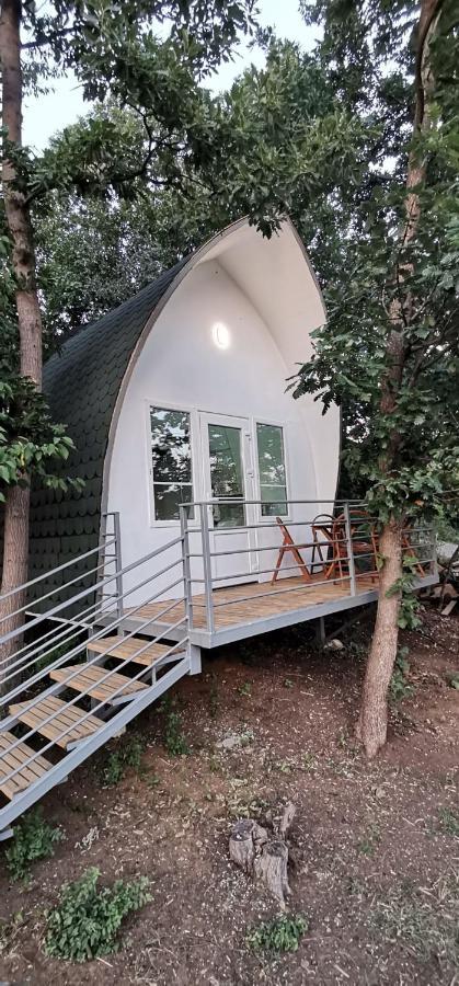 Bungalovi Api-Centar Gornji Milanovac Buitenkant foto